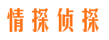 班玛市调查公司